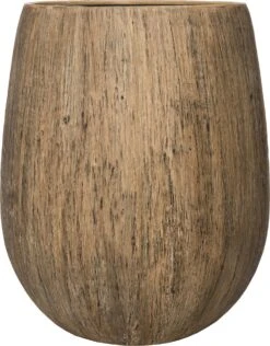 Nieuwkomers 10 Intratuin Bloempot Ramon Bruin D 49 H 60 Cm