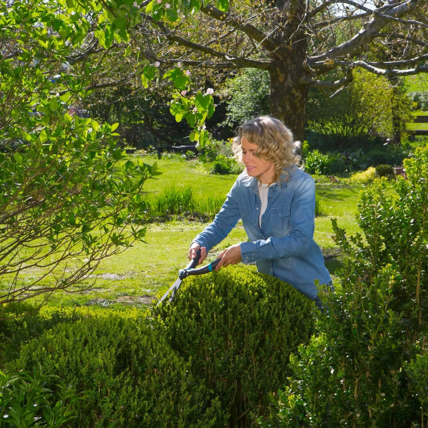 Gardena Precisioncut Buxusschaar Turquoise / Grijs 8 Gardena Precisioncut Buxusschaar Turquoise / Grijs - Afbeelding 6