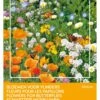 BUZZY Flower Mix Vlinders Laag Voor 15 M² 1 BUZZY Flower Mix Vlinders Laag Voor 15 M² -Talen Tools Winkel 8711117850762 1