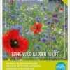 Buzzy Friendly Flowers Mix Inheems 50 M2 2 Buzzy Friendly Flowers Mix Inheems 50 M2 -Talen Tools Winkel 8711117850946 1