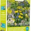 Buzzy Friendly Flowers Biologische Bloemenmengsel 50m2 2 Buzzy Friendly Flowers Biologische Bloemenmengsel 50m2 -Talen Tools Winkel 8711117850977 1