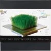 Buzzy Kamerplantenzaad Gras In Zinken Tray 25 X 25 X 4 Cm 2 Buzzy Kamerplantenzaad Gras In Zinken Tray 25 X 25 X 4 Cm -Talen Tools Winkel 8711117854807 1