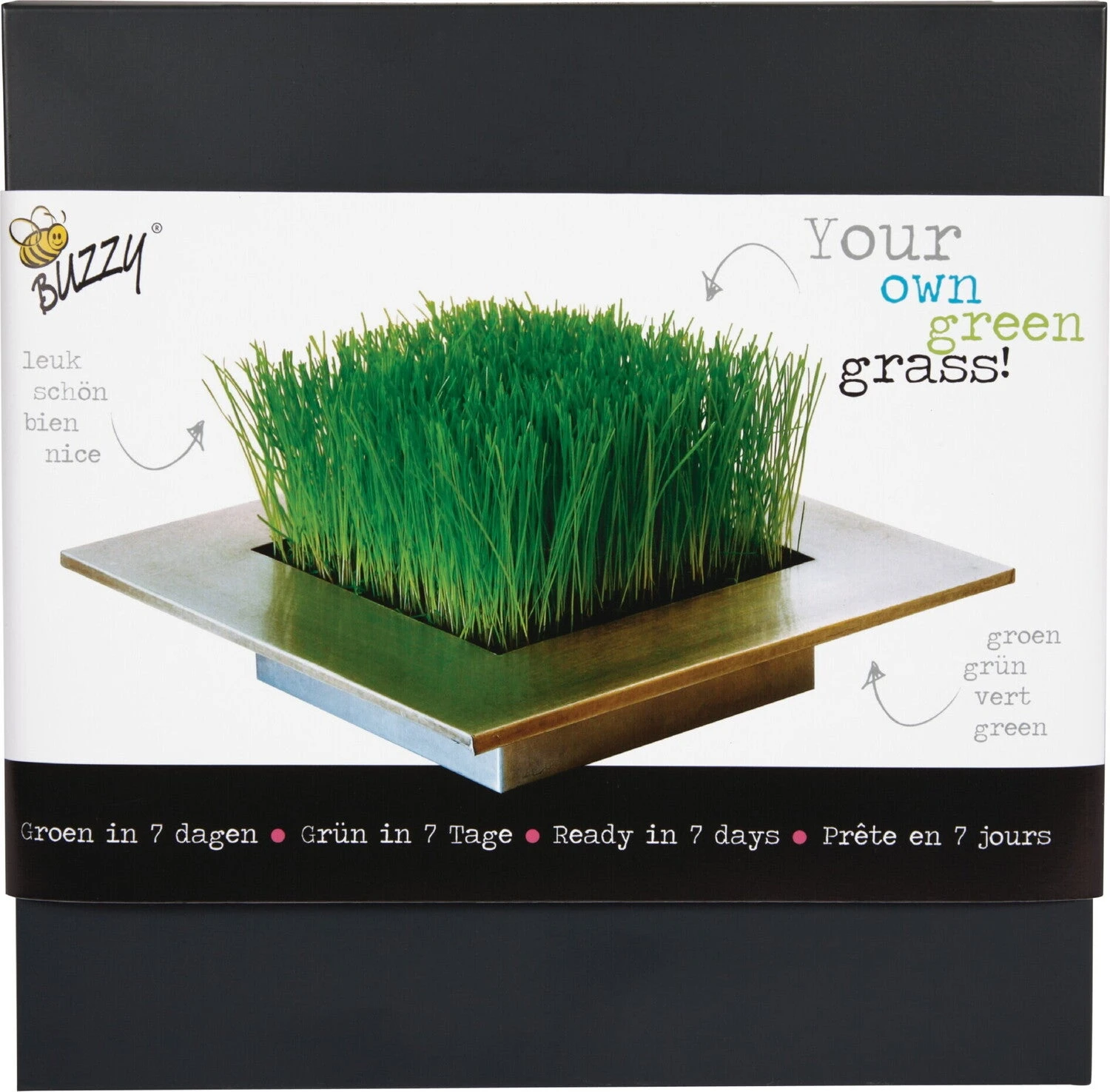Buzzy Kamerplantenzaad Gras In Zinken Tray 25 X 25 X 4 Cm 3 Buzzy Kamerplantenzaad Gras In Zinken Tray 25 X 25 X 4 Cm