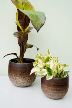 TS Bloempot Mya Goud / Bruin D 31 H 28 Cm -Talen Tools Winkel 8711355167783 2