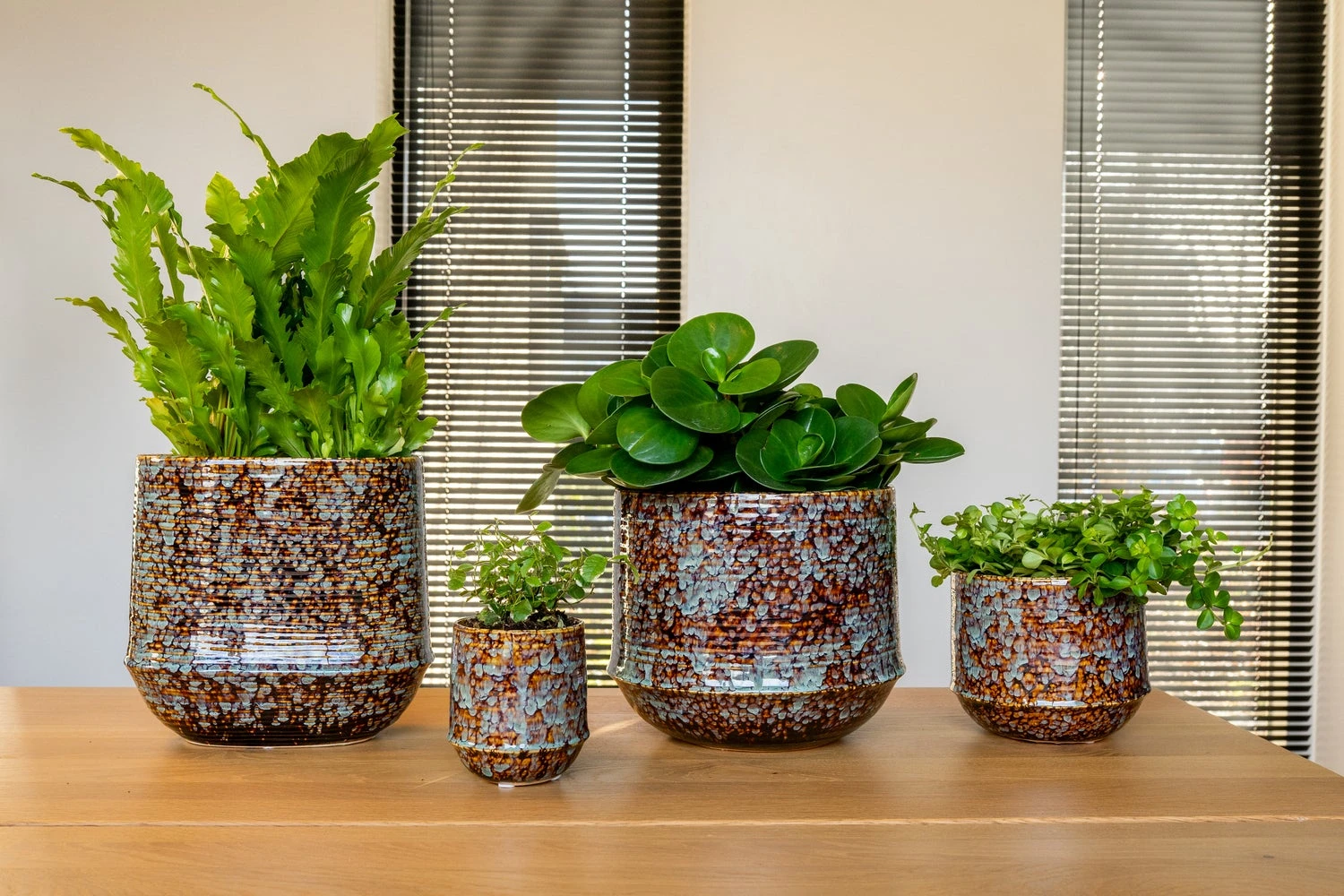 TS Bloempot Noud Bruin / Mint D 17 H 15 Cm 4 TS Bloempot Noud Bruin / Mint D 17 H 15 Cm - Afbeelding 2