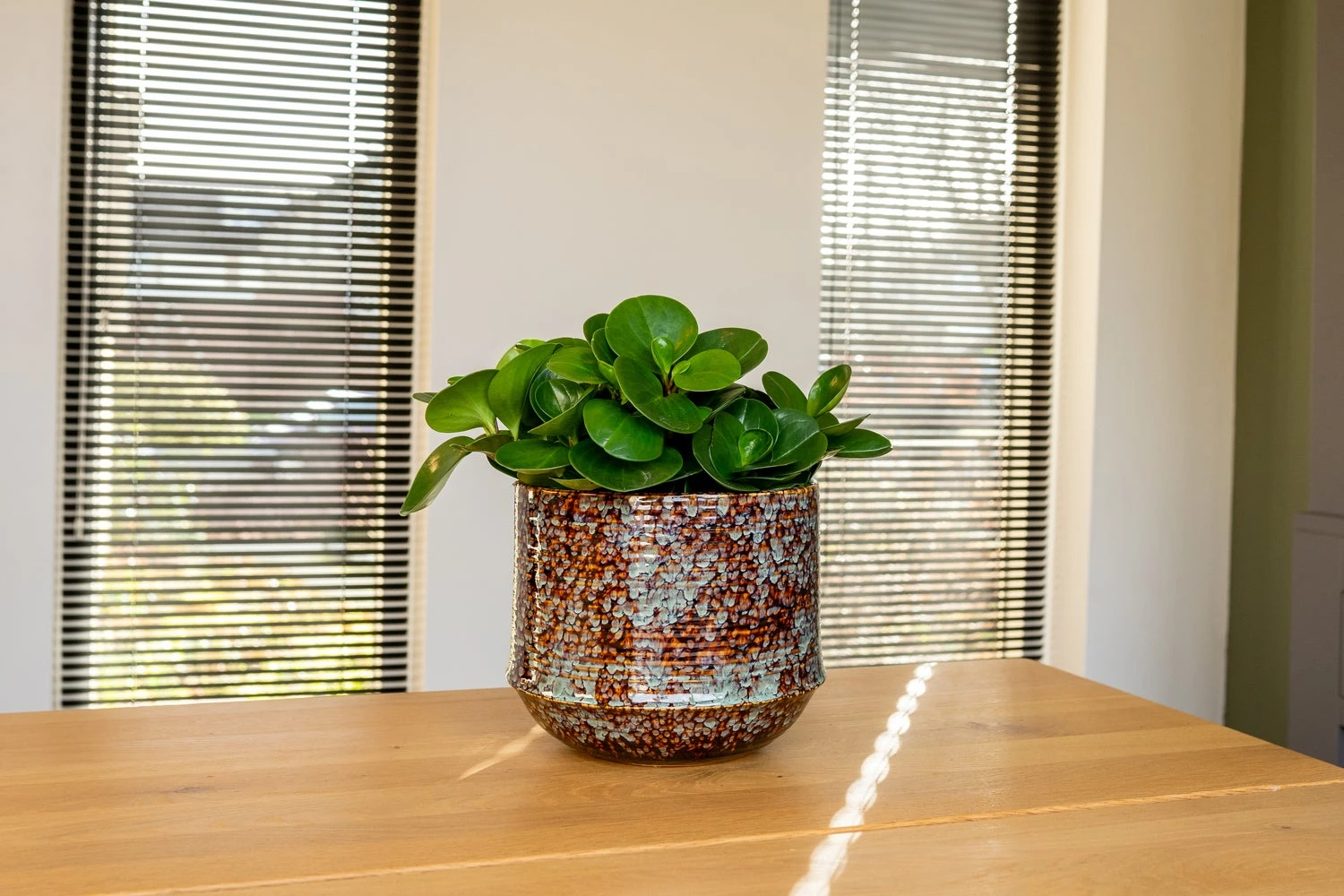 TS Bloempot Noud Bruin / Mint D 17 H 15 Cm 6 TS Bloempot Noud Bruin / Mint D 17 H 15 Cm - Afbeelding 4