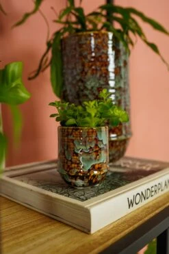 TS Bloempot Noud Bruin / Mint D 17 H 15 Cm 11 TS Bloempot Noud Bruin / Mint D 17 H 15 Cm -Talen Tools Winkel 8711355254971 5