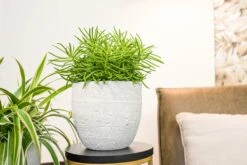 TS Bloempot Cas Grijs D 39 H 36 Cm -Talen Tools Winkel 8711355850944 4