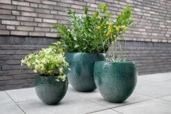 TS Bloempot Thom Donkergroen D 54 H 44 Cm -Talen Tools Winkel 8711355856816 2