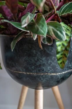 TS Bloempot Belia Op Poten Zwart D 38 H 66 Cm -Talen Tools Winkel 8711355857103 3