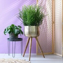 TS Bloempot Op Poten Carly Goud D 30 H 50 Cm -Talen Tools Winkel 8711355857172 1