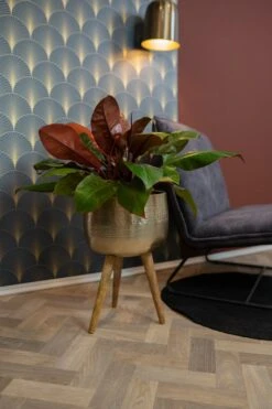 TS Bloempot Op Poten Carly Goud D 30 H 50 Cm -Talen Tools Winkel 8711355857172 2