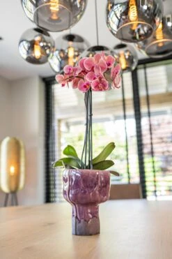 TS Bloempot Else Paars D 15 H 20 Cm -Talen Tools Winkel 8711355860745 2