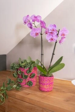 TS Bloempot Malin Roze D 12 H 12 Cm -Talen Tools Winkel 8711355870249 3