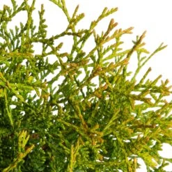 Talen Tools Winkel -Talen Tools Winkel 8712044902012 2