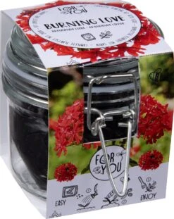 Florex Kruidenzaden In Weckpot Brandende Liefde 11 X 8 X 8,5 Cm