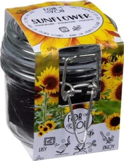 Florex Bloemenzaad In Weckpot Zonnebloem 11 X 8 X 8,5 Cm