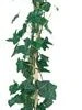 Klimop (Hedera Hibernica) D 23 H 210 Cm 1 Klimop (Hedera Hibernica) D 23 H 210 Cm -Talen Tools Winkel 8714339079959 0