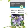 Bosrank (Clematis 'Blue Light') D 17 H 75 Cm -Talen Tools Winkel 8714339250235
