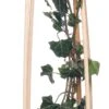 Klimop (Hedera Helix) D 16 H 75 Cm 1 Klimop (Hedera Helix) D 16 H 75 Cm -Talen Tools Winkel 8714339260838 1