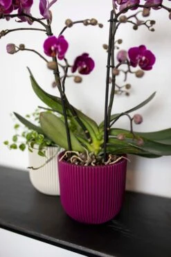 Capi Europe Bloempot Groove Paars D 17,2 H 15,3 Cm -Talen Tools Winkel 8716443112102 3