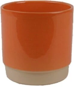 Gina Da Bloempot Eno Oranje D 10 H 10,5 Cm