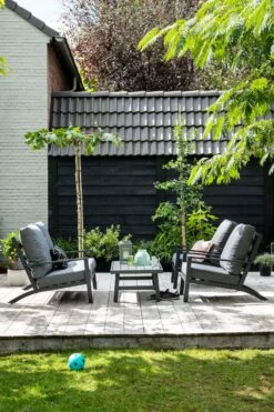 Dakplataan (Platanus Acerifolia) D 40 H 240 Cm -Talen Tools Winkel 8717263232421 2