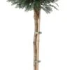 Dwergcypres Op Stam (Chamaecyparis Lawsoniana 'Columnaris') D 21 H 70 Cm -Talen Tools Winkel 8717263280408 1