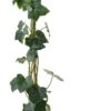 Klimop (Hedera Hibernica) D 11 H 90 Cm -Talen Tools Winkel 8717263559504