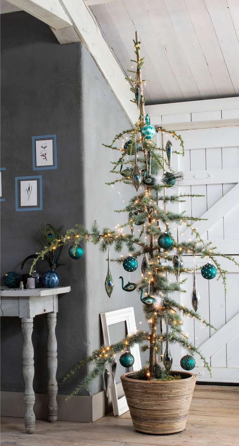 Blauwe Ceder (Cedrus Libani 'Glauca') D 30 H 175 Cm 4 Blauwe Ceder (Cedrus Libani 'Glauca') D 30 H 175 Cm - Afbeelding 2