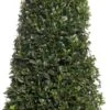 Buxus Kegelvorm (Buxus Sempervirens) D 21 H 80 Cm 2 Buxus Kegelvorm (Buxus Sempervirens) D 21 H 80 Cm -Talen Tools Winkel 8717263657569 1