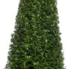 Buxus Kegelvorm (Buxus Sempervirens) D 23 H 95 Cm 1 Buxus Kegelvorm (Buxus Sempervirens) D 23 H 95 Cm -Talen Tools Winkel 8717263657576 1