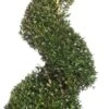 Buxus Spiraal (Buxus Sempervirens) D 31 H 120 Cm -Talen Tools Winkel 8717263657668 1