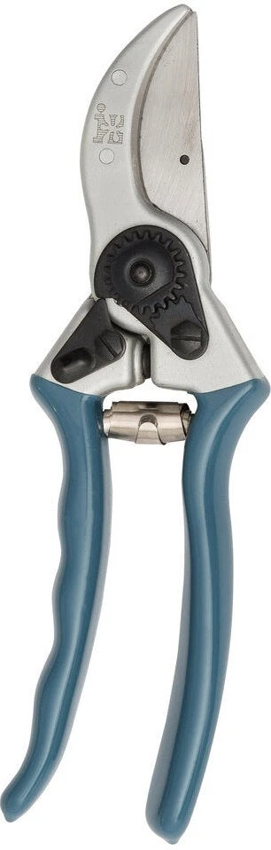 Intratuin Premium Snoeischaar Zilver/blauw 3 Intratuin Premium Snoeischaar Zilver/blauw