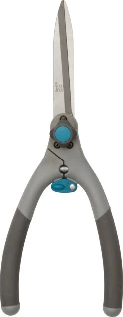 Intratuin Buxusschaar Zwart/grijs