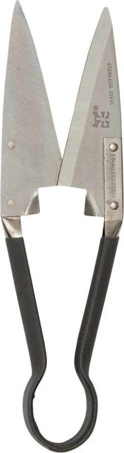 Intratuin Traditionele Buxusschaar Zwart