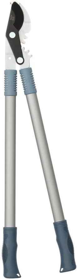 Intratuin Premium Takkenschaar Aluminium Blauw/zilver