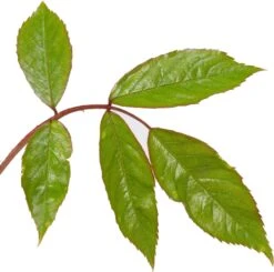 Talen Tools Winkel -Talen Tools Winkel 8717665180085 2