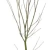 Japanse Esdoorn (Acer Palmatum 'Sumi-nagashi') D 34 H 120 Cm 2 Japanse Esdoorn (Acer Palmatum 'Sumi-nagashi') D 34 H 120 Cm -Talen Tools Winkel 8718182415124 0 1