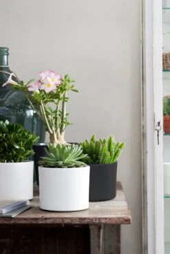 Mica Decorations Pot Era Rond D 15 H 13 Cm Mat Donkergrijs 5 Mica Decorations Pot Era Rond D 15 H 13 Cm Mat Donkergrijs -Talen Tools Winkel 8718861345988 02