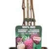 Herfstframboos (Rubus Idaeus 'Naschmich') D 19 H 50 Cm 2 Herfstframboos (Rubus Idaeus 'Naschmich') D 19 H 50 Cm -Talen Tools Winkel 8719474819910 1