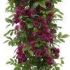 Klimroos (Rosa 'Perennial Blue') D 22 H 70 Cm -Talen Tools Winkel 8720136052781
