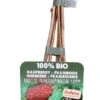 Intratuin Biologische Framboos (Rubus Idaeus 'Autumn Happy') D 19 H 50 Cm 1 Intratuin Biologische Framboos (Rubus Idaeus 'Autumn Happy') D 19 H 50 Cm -Talen Tools Winkel 8720143930980