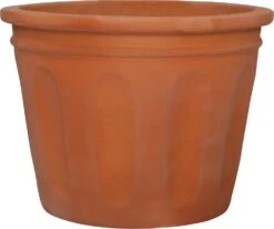 Nieuwkomers 12 Intratuin bloempot Gary terracotta D 20 H 15 cm