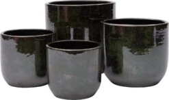 Nieuwkomers -Talen Tools Winkel 8720196178759 2