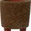 Intratuin Bloempot Op Poten Jolan Bruin D 8 H 10 Cm 1 Intratuin Bloempot Op Poten Jolan Bruin D 8 H 10 Cm -Talen Tools Winkel 8720196180653
