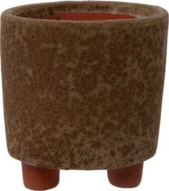 Intratuin Bloempot Op Poten Jolan Bruin D 8 H 10 Cm