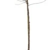 Zure Kers (Prunus Cerasifera 'Morel') D 26 H 150 Cm 1 Zure Kers (Prunus Cerasifera 'Morel') D 26 H 150 Cm -Talen Tools Winkel 8720196212378