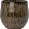 Intratuin Bloempot Adna Bruin D 14 H 16 Cm 1 Intratuin Bloempot Adna Bruin D 14 H 16 Cm -Talen Tools Winkel 8720196359455 0 1 1
