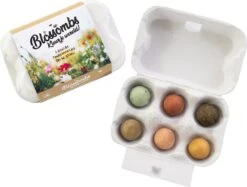 Blossombs Eierdoos Zaadbommen 6 Stuks